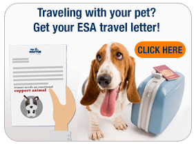 Emotional Support Animal Letter Template - The Online Dogtor
