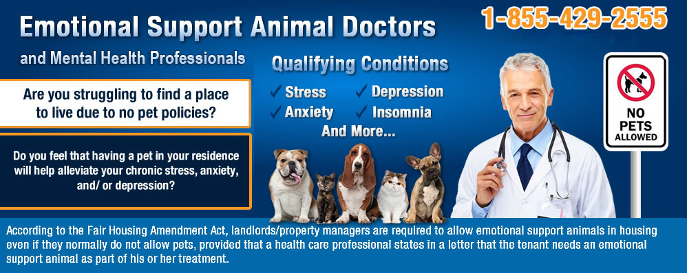 Online therapist for clearance emotional support animal